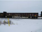 NS 187838 is new to RRPA!